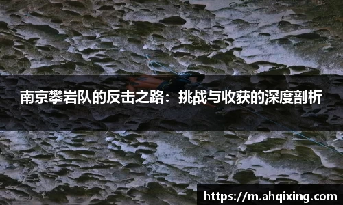 三亿体育