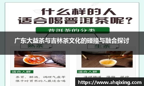 广东大益茶与吉林茶文化的碰撞与融合探讨