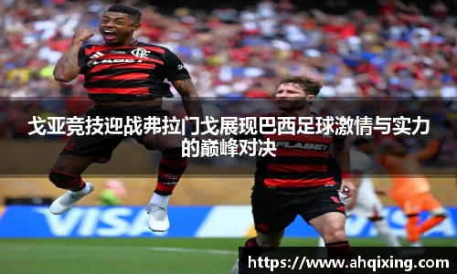 戈亚竞技迎战弗拉门戈展现巴西足球激情与实力的巅峰对决
