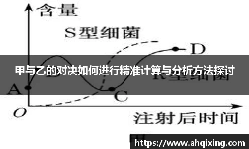 甲与乙的对决如何进行精准计算与分析方法探讨
