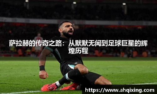 3亿体育官网
