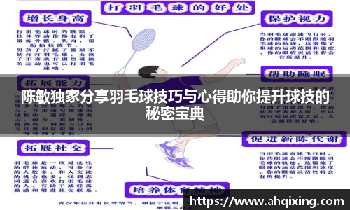 陈敏独家分享羽毛球技巧与心得助你提升球技的秘密宝典