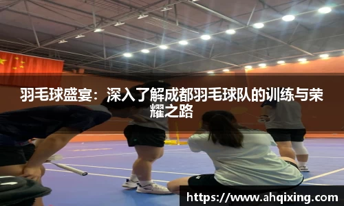 羽毛球盛宴：深入了解成都羽毛球队的训练与荣耀之路